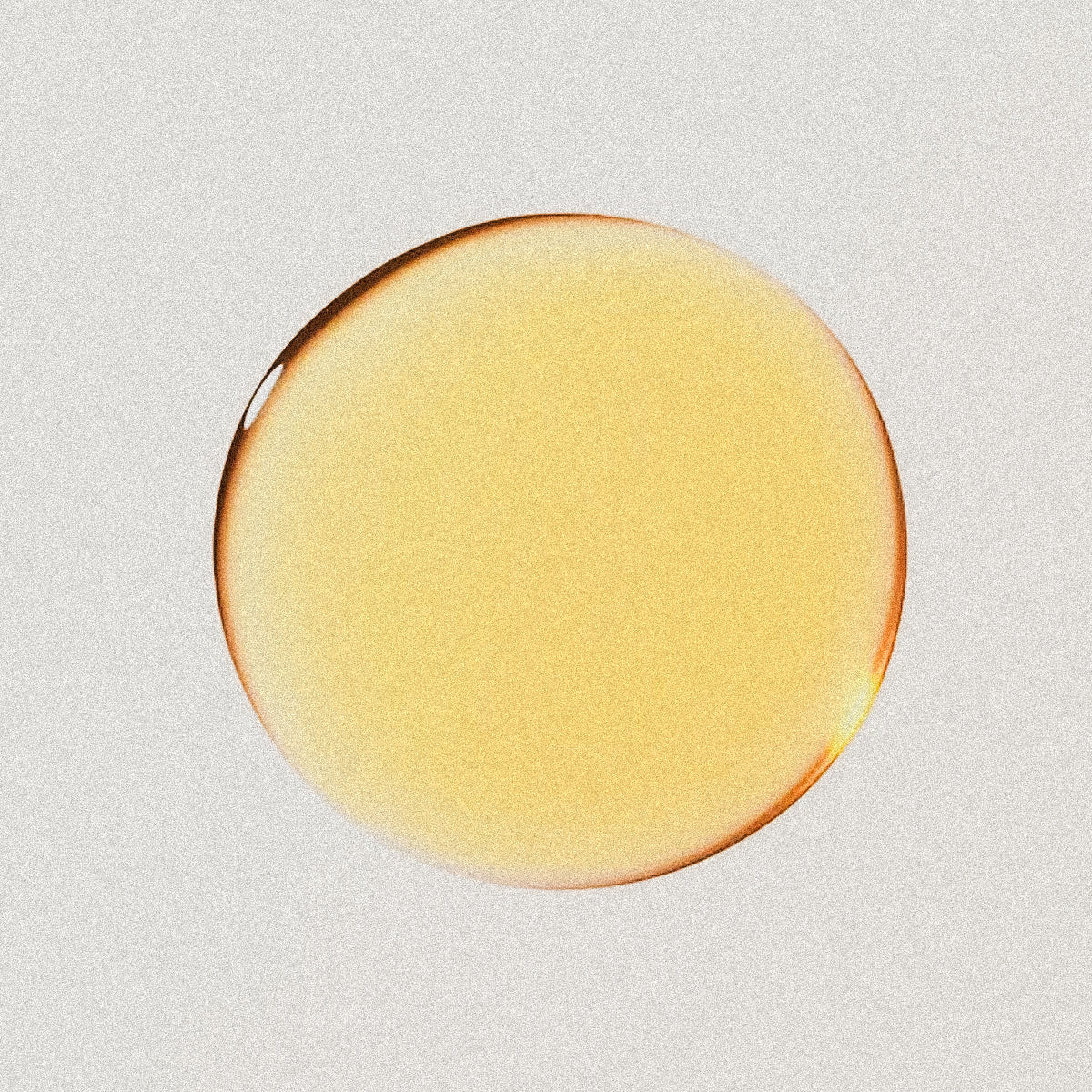 CHALET l'huile sauvage